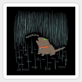 Rain Cat Sticker
